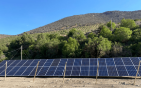 Proyecto Panel Solar en AGRÍCOLA CIPRES